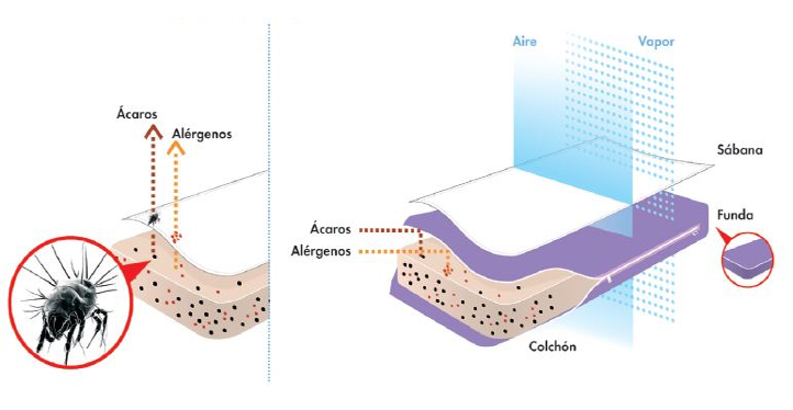 Funda Antiacaros, Funda Colchón y Almohada Antiacaros y sarna – Multiplag